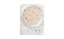 Compact Dry TC - Bactérias Totais - 100 Testes